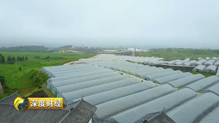 贵州省扶持的养殖项目_贵州养殖致富项目_贵州养殖业什么最赚钱