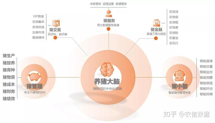 致富养猪场_猪肉养殖致富项目_致富猪肉养殖项目有哪些
