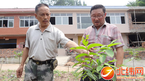 致富种田秀恩爱免费阅读_种田致富记小说_农业种植致富小说下载