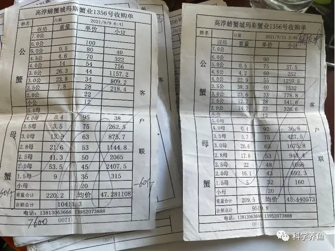 贵州养螃蟹养殖技术_贵州螃蟹养殖基地_贵州适合螃蟹养殖吗