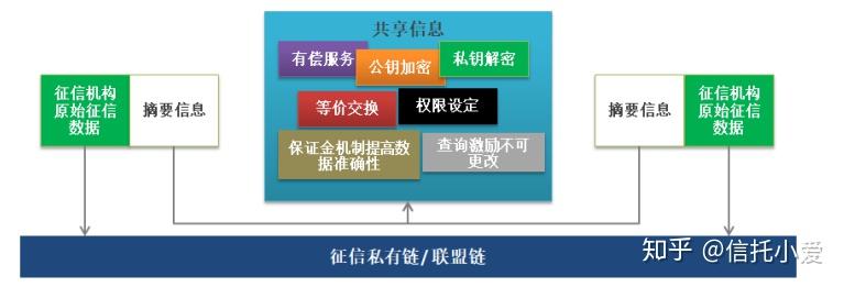 蜜蜂致富经_致富经蜜蜂带来的财富_蜜蜂收益