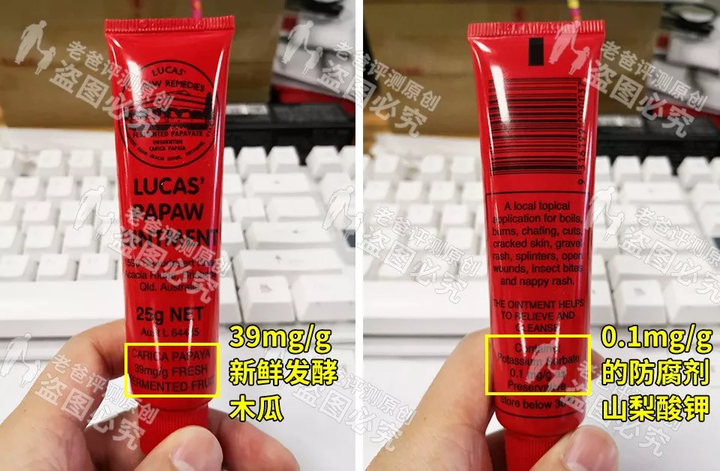 木瓜种植管理技术_药木瓜的种植技术_木瓜种植药技术与管理