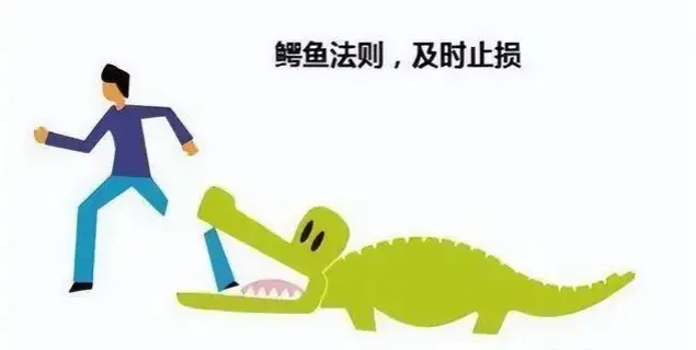 致富鳄鱼养殖视频_鳄鱼养殖项目_致富经养殖鳄鱼