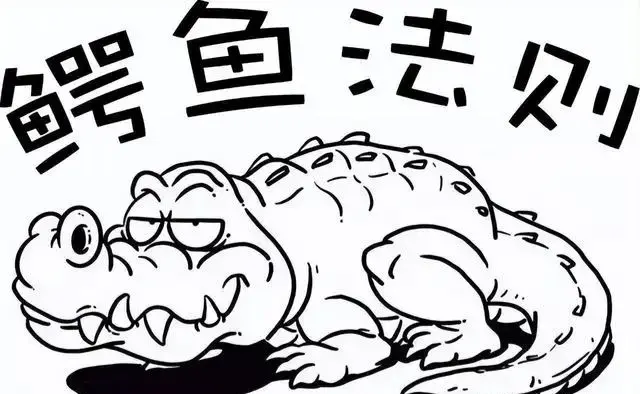 鳄鱼养殖项目_致富经养殖鳄鱼_致富鳄鱼养殖视频