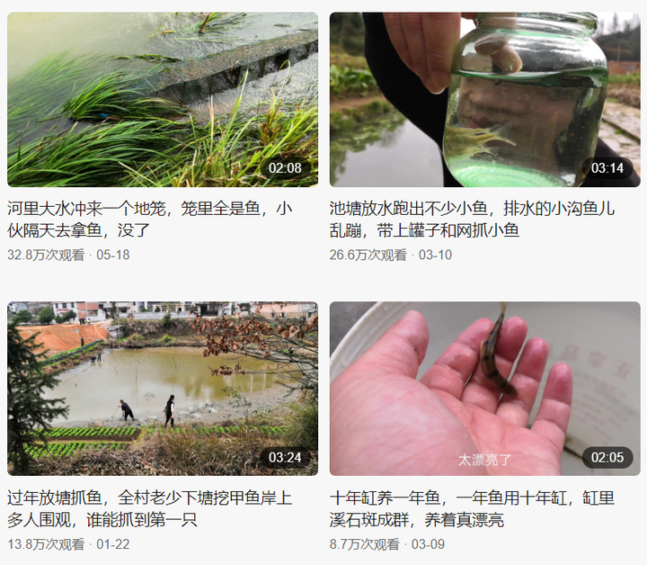 分葱种植技术视频_种葱视频教程_葱的栽培技术视频