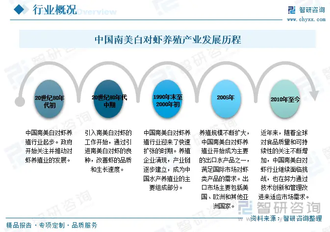 养南美白对虾虾苗_南美虾苗白苗病用什么药最好_南美白对虾苗养殖技术