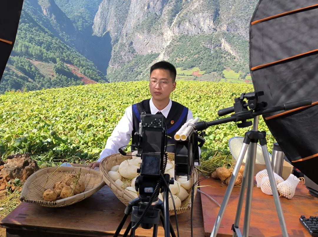 致富种植凉薯图片_凉薯种植致富_种植凉薯视频