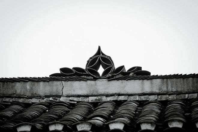 钓鱼视频2019_致富经视频钓鱼_钓鱼视频致富版