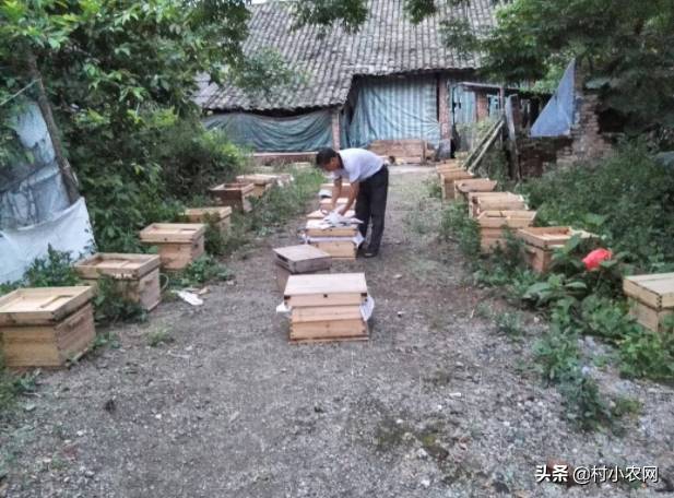 致富养殖什么最赚钱_养殖种植致富秘方_致富养殖好项目大全