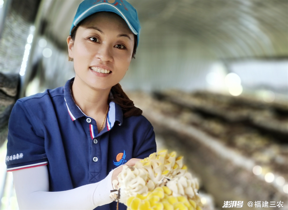 农村种植香菇致富带头人_香菇种植致富经_2021年种香菇赚钱吗