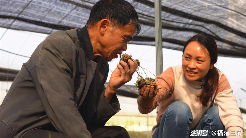 香菇种植致富经_农村种植香菇致富带头人_2021年种香菇赚钱吗