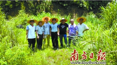 种植无花果效益怎么样_种植无花果的致富能人是谁_种植无花果挣钱吗