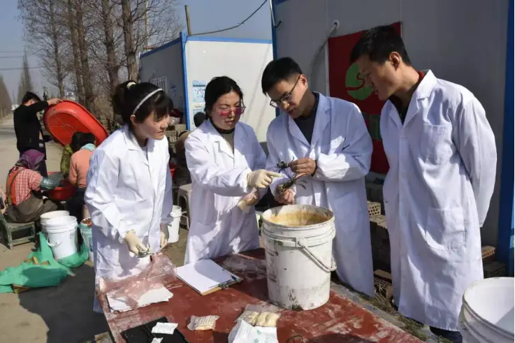 大规格河蟹养殖技术_养殖规格技术大河蟹怎么写_大规格河蟹高产养殖试验