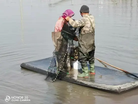 大规格河蟹高产养殖试验_大规格河蟹养殖技术_养殖规格技术大河蟹怎么写