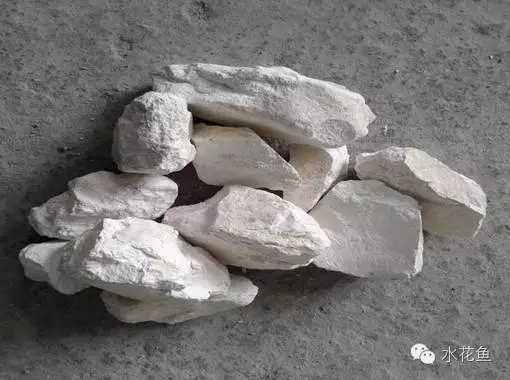 草鱼苗养殖技术视频_视频养殖草鱼苗技术教程_视频养殖草鱼苗技术大全