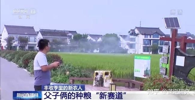 江苏横泾大米 国稻种芯·中国水稻节：苏州总产量65.98万吨