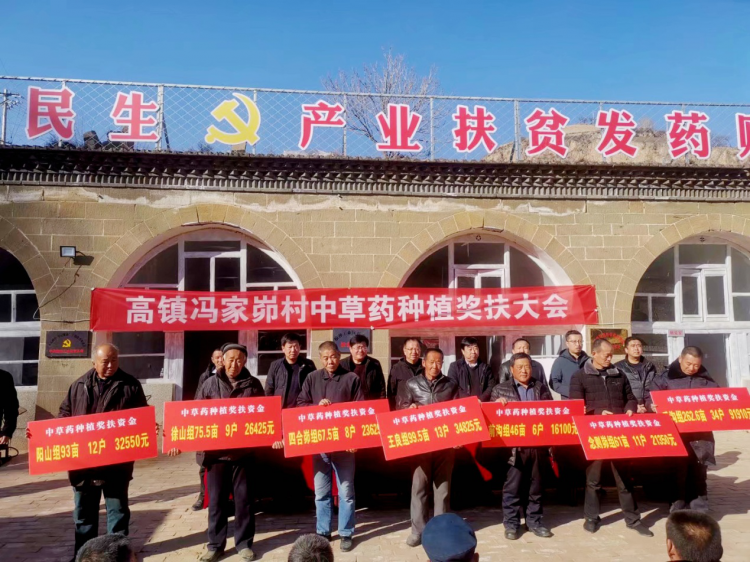 图片9