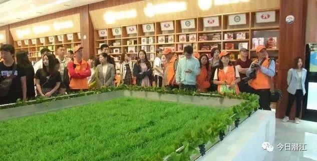 致富经麻辣小龙虾_龙麻辣小龙虾_致富经小龙虾