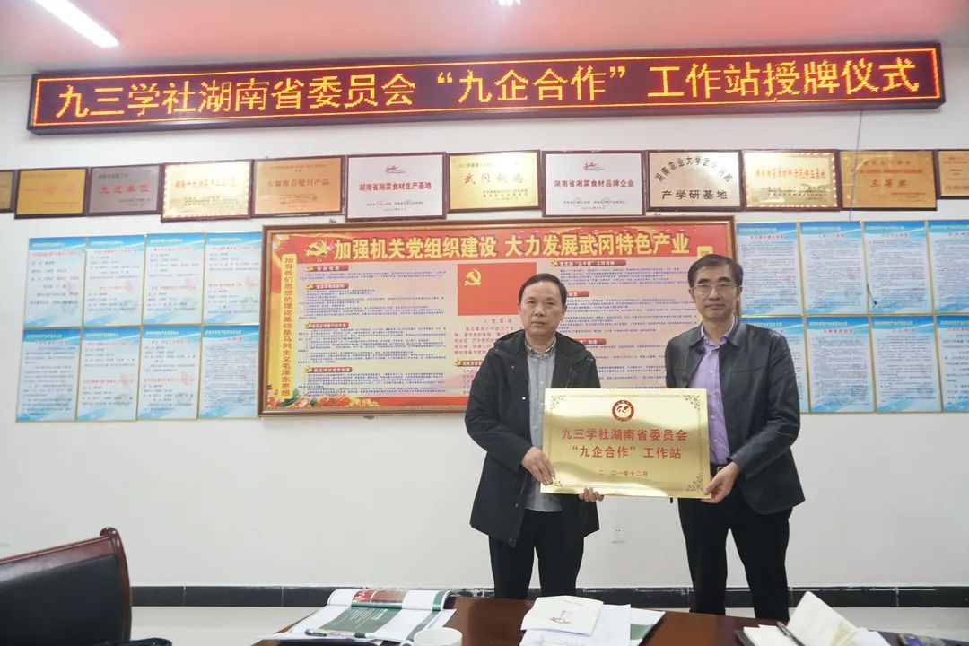 武冈铜鹅养殖基地_致富经佘安琪武冈铜鹅养殖_武冈铜鹅苗出售