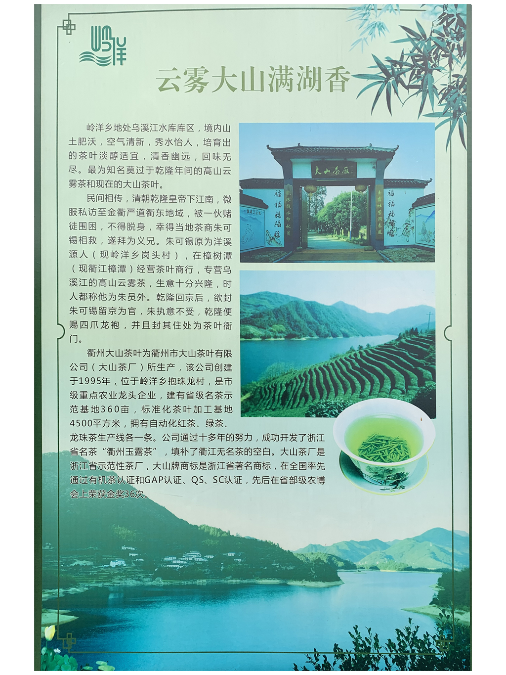 浙江衢州适合种什么药材_衢州蔬菜种植基地_衢州大山种植致富