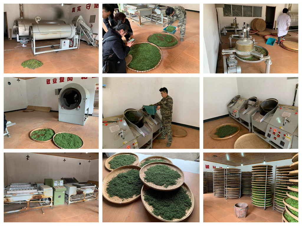 衢州大山种植致富_浙江衢州适合种什么药材_衢州蔬菜种植基地
