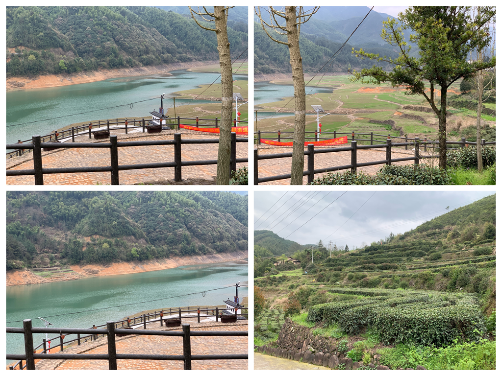 衢州大山种植致富_衢州蔬菜种植基地_浙江衢州适合种什么药材