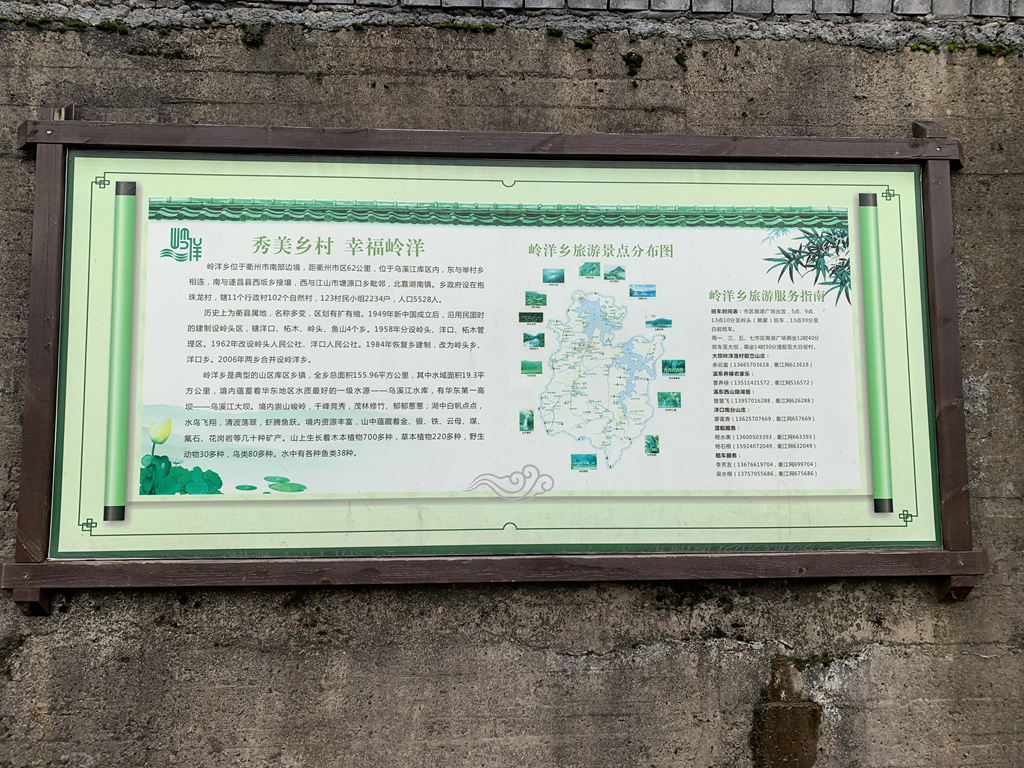 衢州大山种植致富_衢州蔬菜种植基地_浙江衢州适合种什么药材