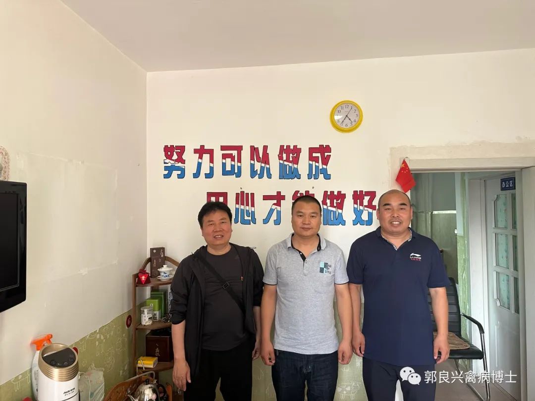 脱温鹅养殖技术要点——科技特派员助力企业