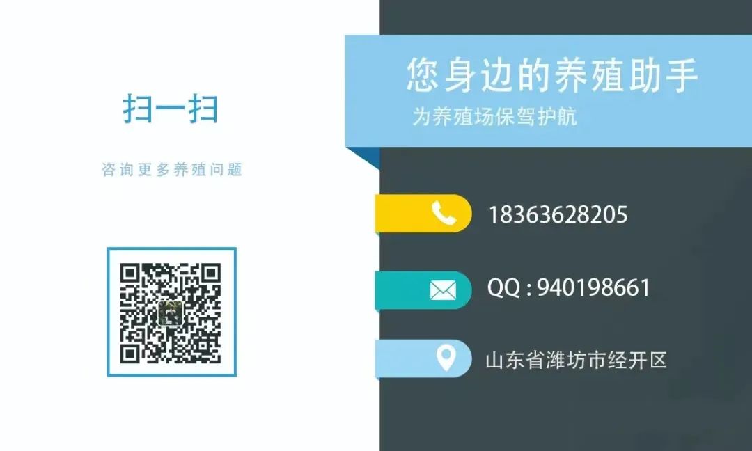 养羊养牛技术_羊牛的养殖技术_养殖羊牛技术视频