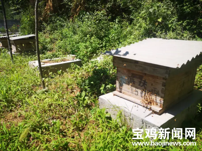 农民致富养殖经验_致富养殖农民经验总结_农业养殖致富经