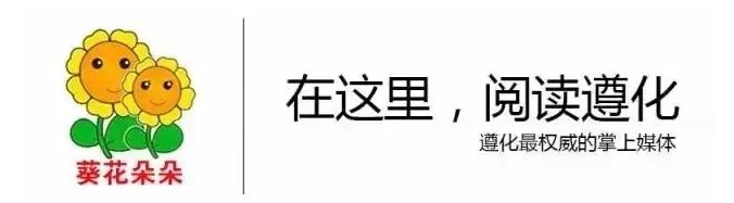 致富经香菇种植视频_种植香菇致富新闻_农村香菇种植赚钱