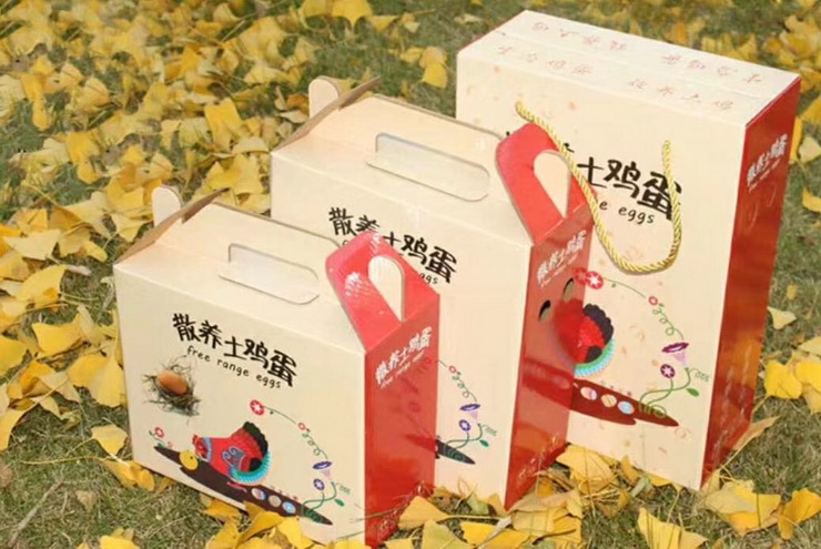 致富经养殖土鸡视频_养殖土鸡视频全集视频播放_致富经土鸡养殖技术视频