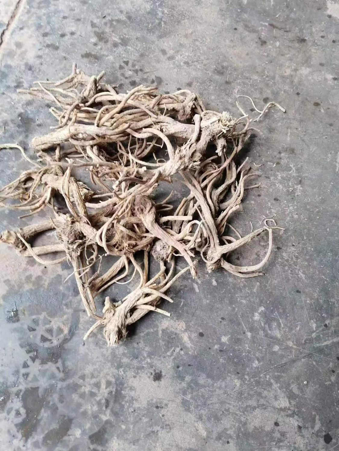 广元适合种植什么果树_广元种植致富_种植致富案例
