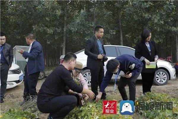 聊城农村种植致富_致富聊城种植农村有补贴吗_聊城种菜基地
