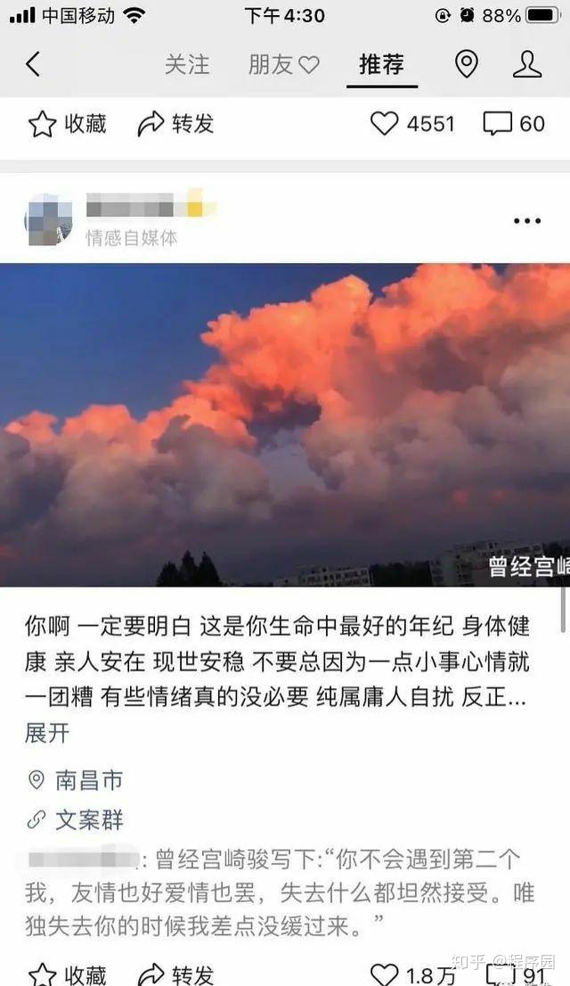种植创业致富视频_致富种植创业项目_种植致富新项目