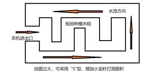 视频龙虾养殖技术教程_养殖龙虾的技术和视频_视频龙虾养殖技术教学