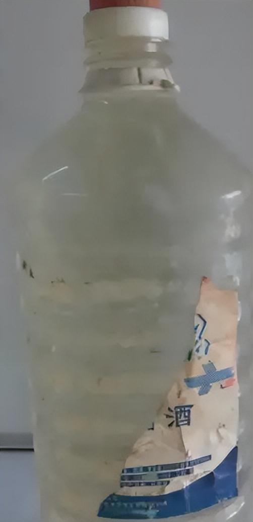 致富养殖农业技术视频_农业养殖致富技术_致富养殖农业技术有哪些