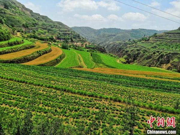龟鳖养殖致富技术大全_怀化水蛭养殖致富_草地养殖致富新闻