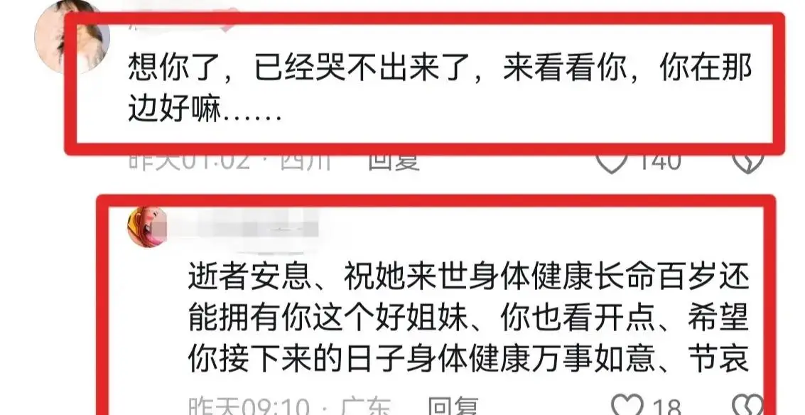 优质娱乐回答经验领域的问题_娱乐领域优质回答经验_优质娱乐领域创作者