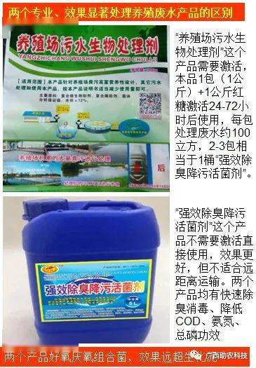 鸡粪发酵养殖猪技术_鸡粪发酵喂猪发酵剂用什么好_猪粪发酵喂鸡技术