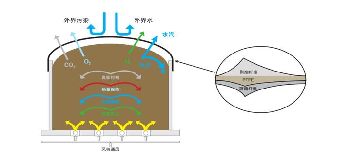 鸡粪发酵养殖猪技术_鸡粪养猪怎样发酵怎么配比法_猪粪发酵喂鸡技术