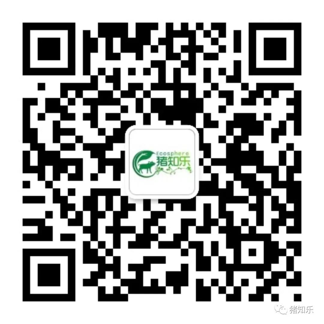 美国养猪设备_美国的养猪技术视频_美国猪养殖技术