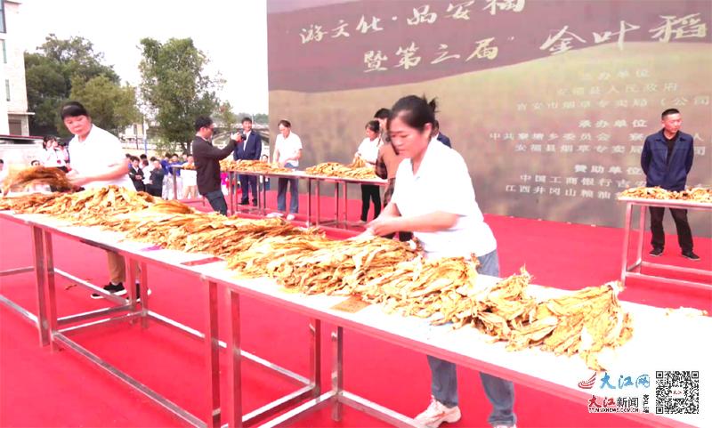 致富种植男子视频_致富种植男子是谁_男子种植致富