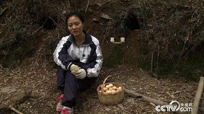 冬瓜猪养殖投资多少钱_冬瓜猪的优劣势与特色_致富经介绍的冬瓜猪