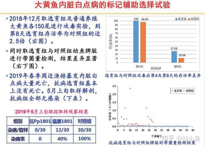 黄鱼的养殖技术_大黄鱼养殖技术_养黄鱼效益怎么样啊