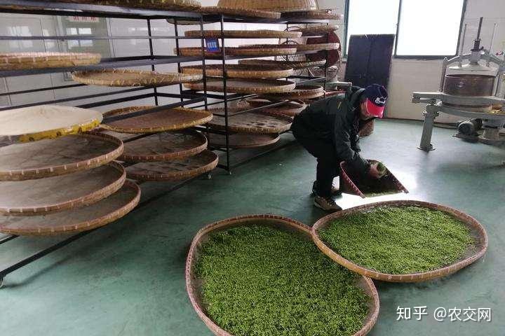 农村致富经视频农家乐_致富经家庭农场视频_农民致富视频