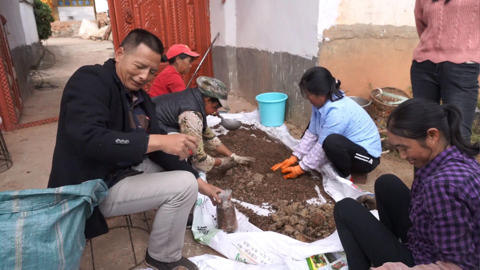 致富经养羊技术视频_羊和种植致富_致富经羊养殖