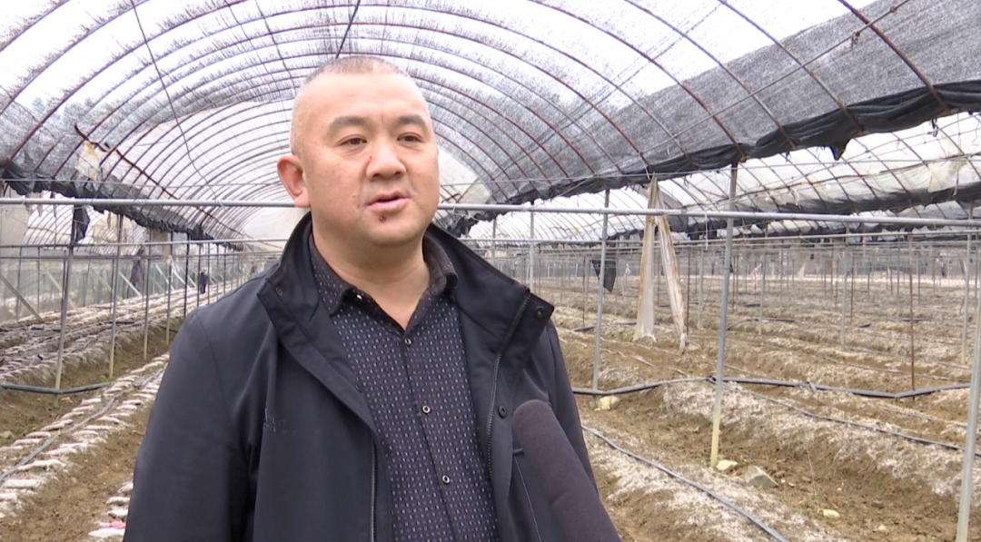 致富经养羊技术视频_致富养羊_羊和种植致富