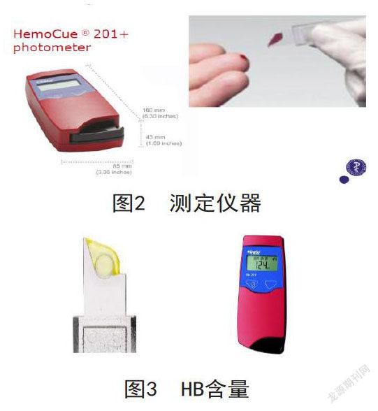 养殖母猪规模技术规范_养殖母猪技术大全_母猪规模养殖技术