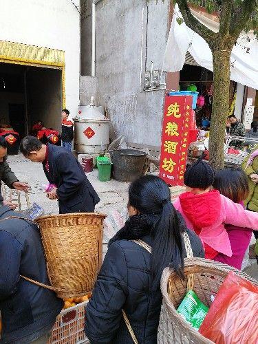 人参种植致富吗_致富人参种植条件_致富人参种植视频